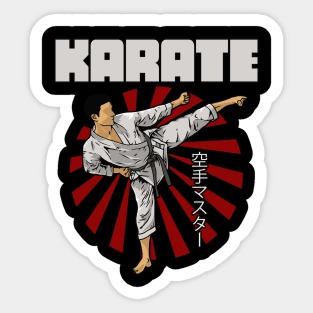 Karate Fighter Sticker